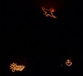 /album/fotogalerie-motive/a8681404-jpg/
